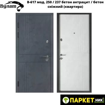 Двері В-617 вхідні модель 250/ 237 бетон антрацит/бетон сніжний (квартира)
