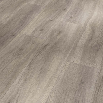 Вінілова підлога Parador Basic 5.3 1743005 oak pastel grey