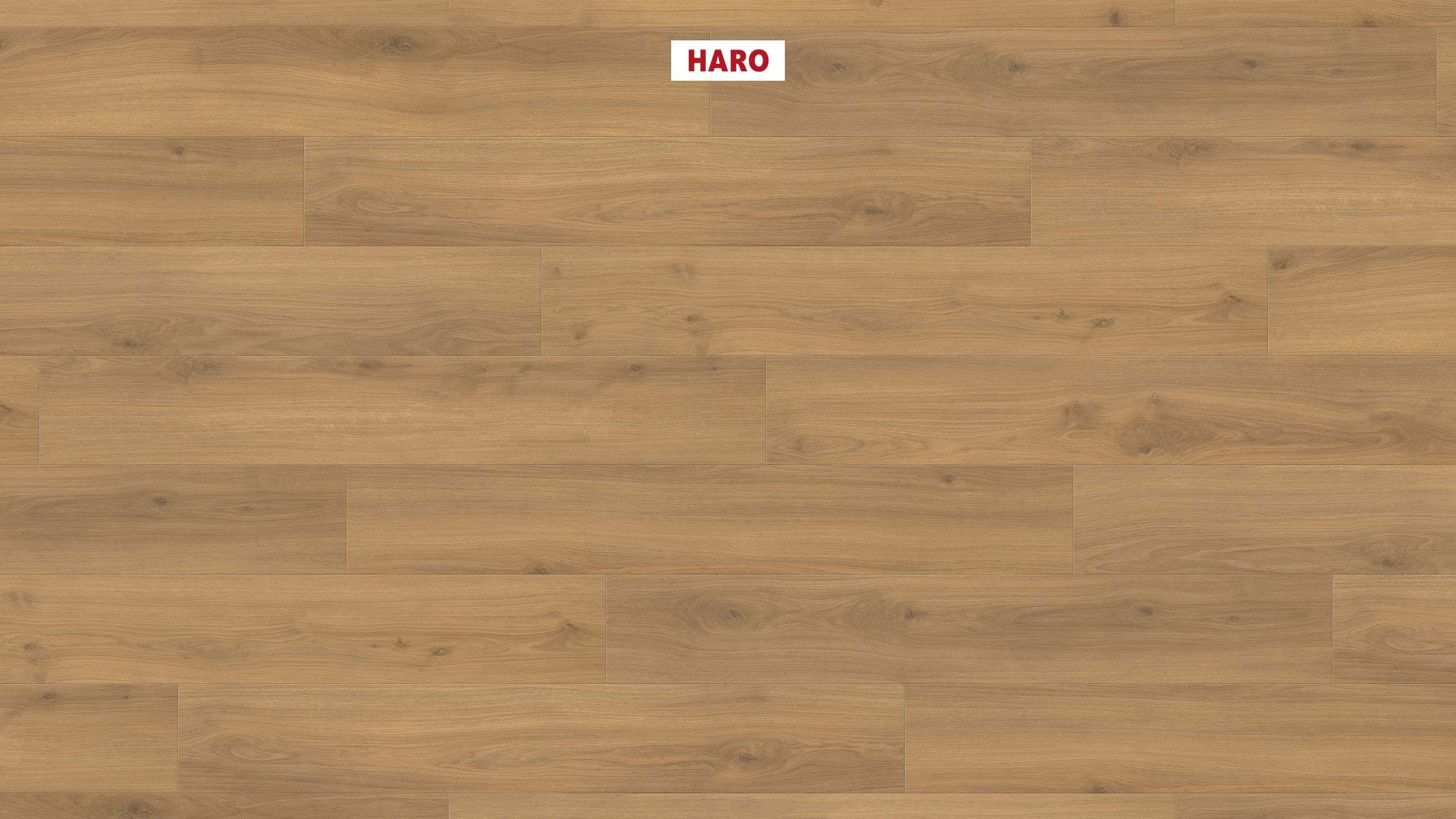 Ламінат HARO Tritty 100 Oak Emilia Honey