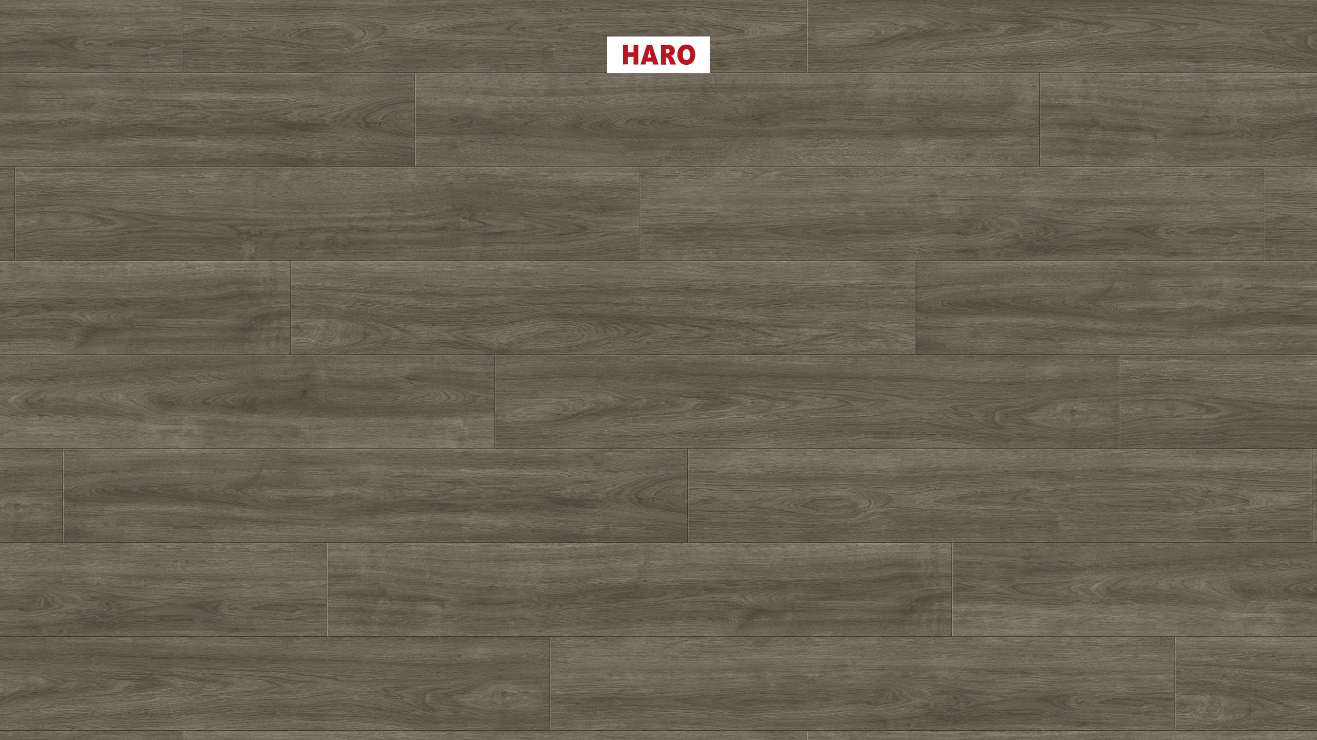 Ламінат HARO Tritty 100 Oak Eleganza Antique Grey