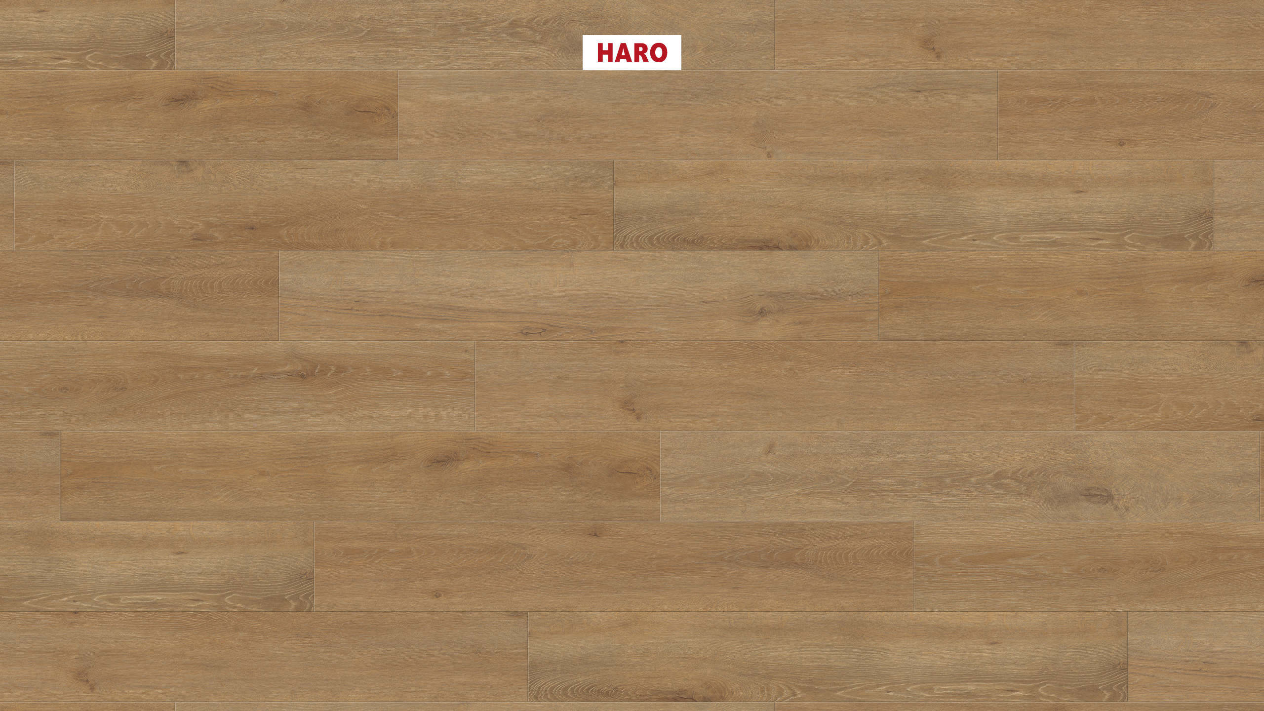 Ламінат HARO Tritty 100 Oak Veneto Nature