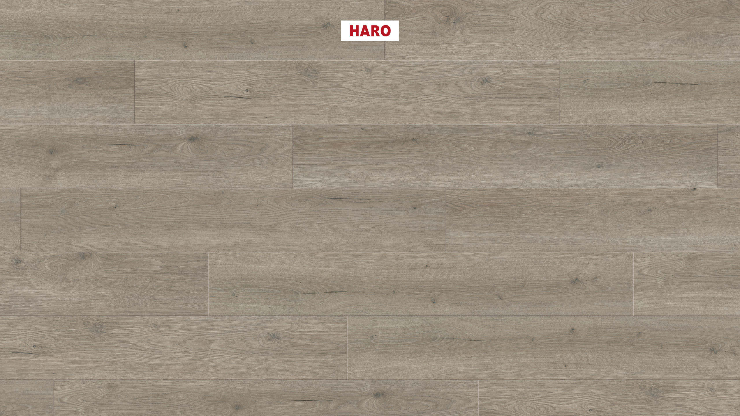 Ламінат HARO Tritty 100 Oak Flavia Grey