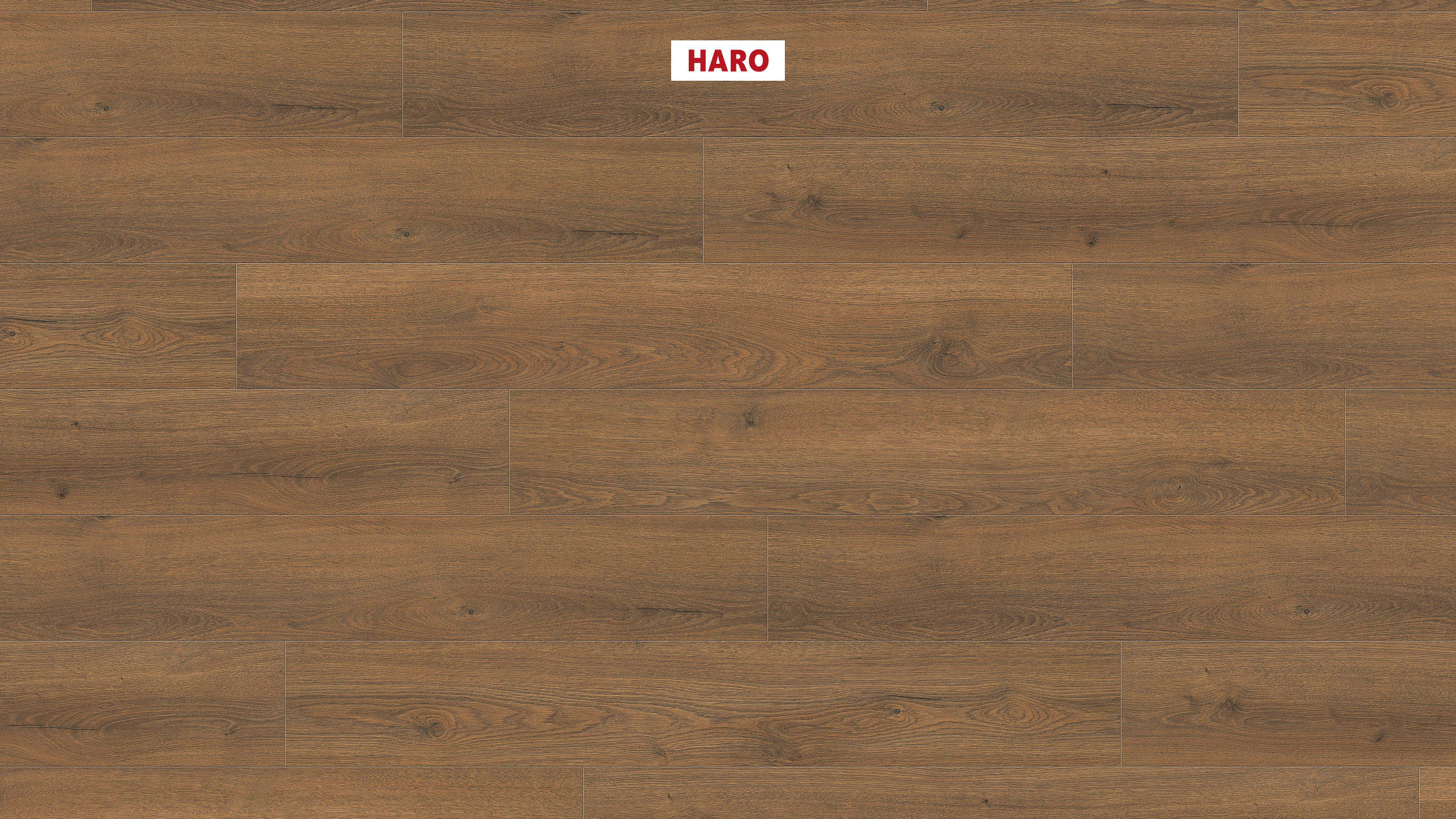 Ламінат HARO Tritty 100 Oak Flavia Smoked