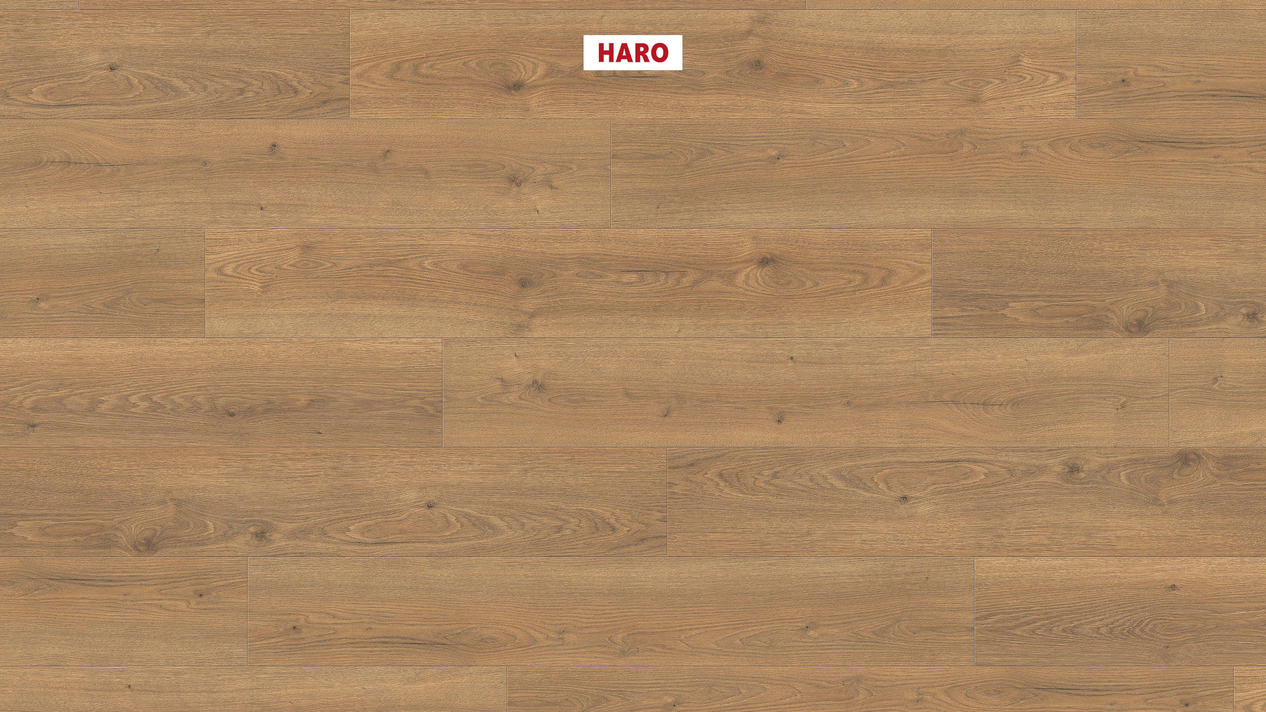 Ламінат HARO Tritty 100 Oak Flavia Nature