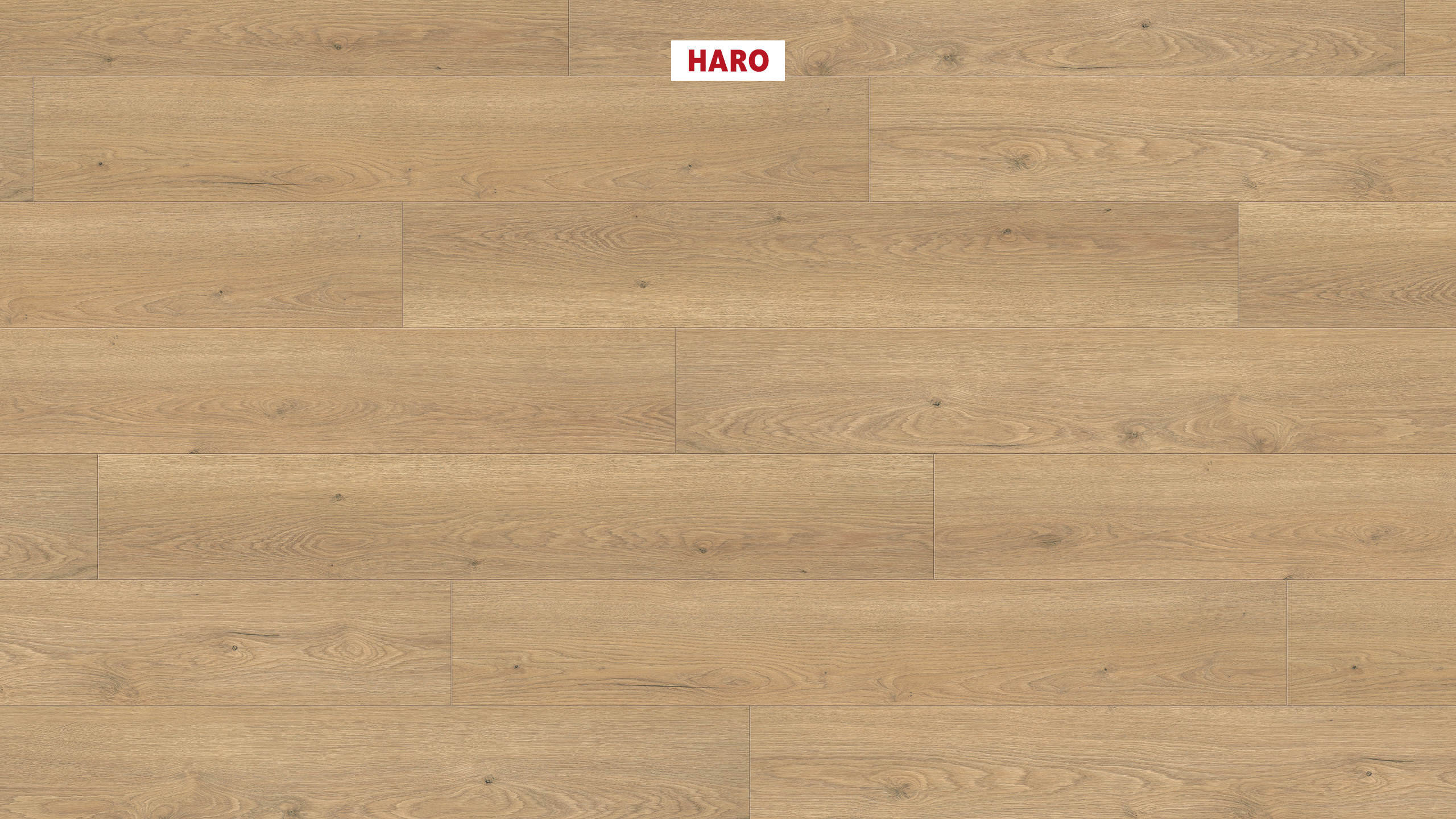 Ламінат HARO Tritty 100 Oak Flavia Puro