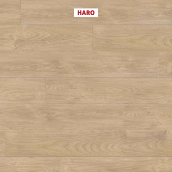 Ламінат HARO Tritty 100 Silver Maple Vario