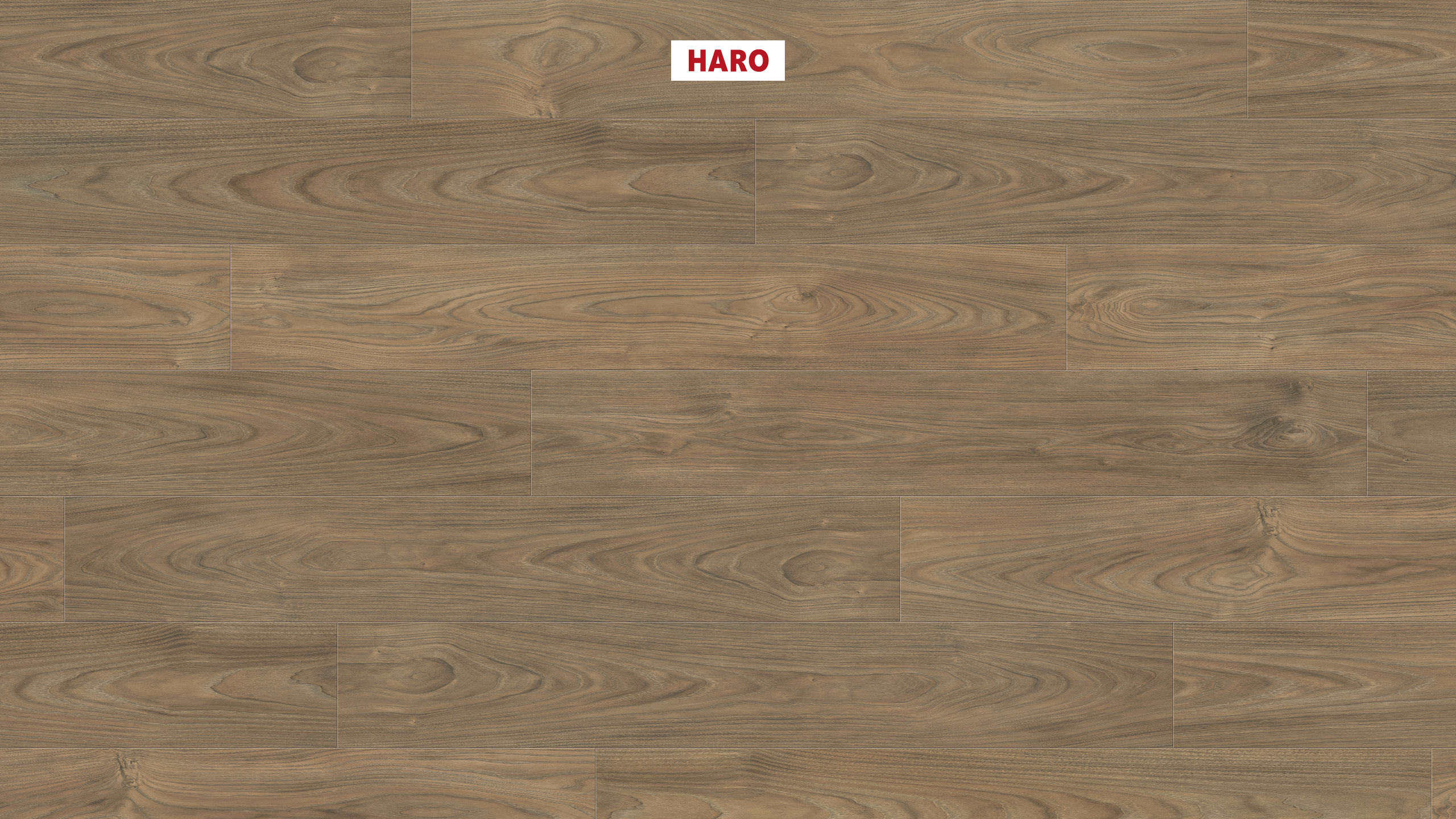 Ламінат HARO Tritty 100 Elm Vario