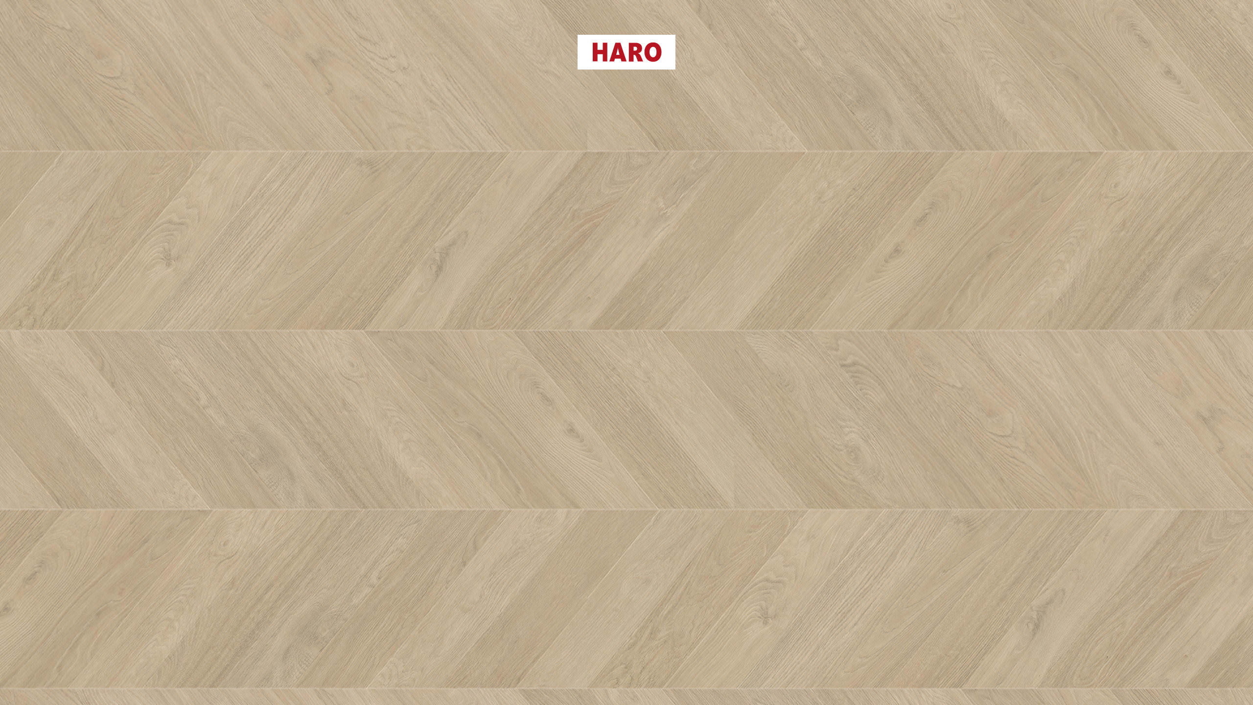 Ламінат HARO Chevron (французька ялинка) Oak White