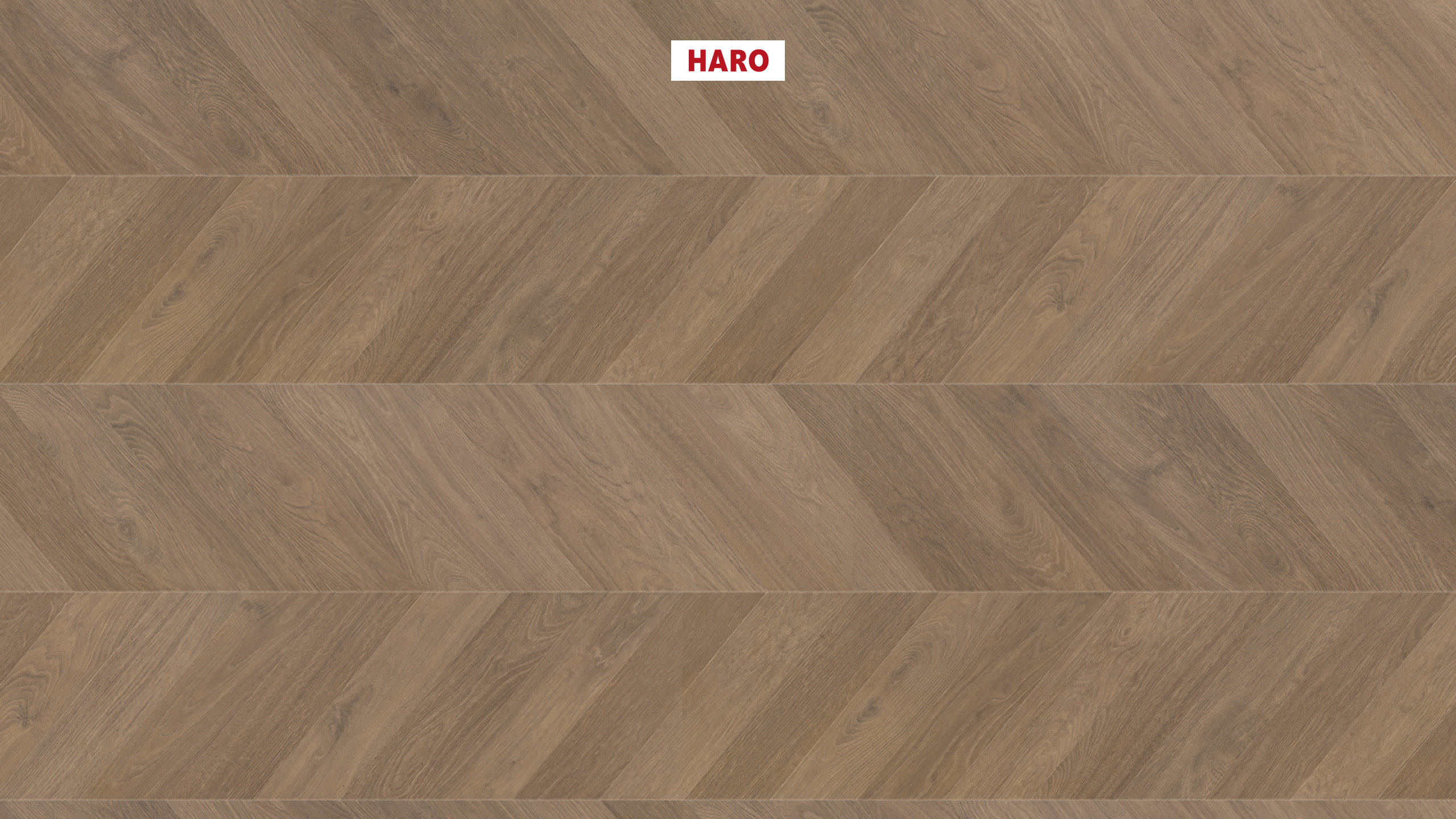 Ламінат HARO Chevron (французька ялинка) Oak Smoked