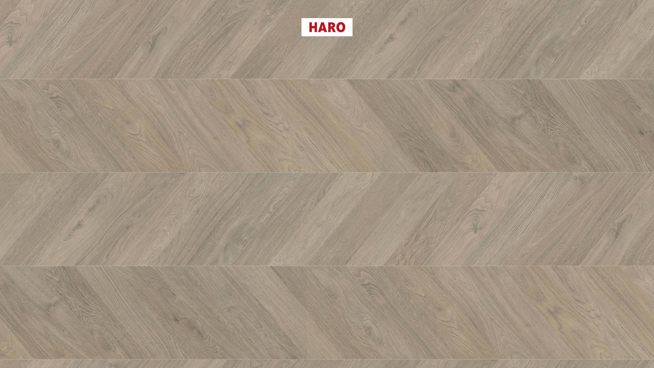 Ламінат HARO Chevron (французька ялинка) Oak Grey