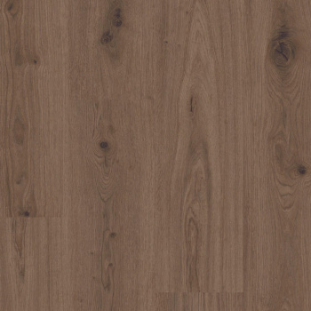 Вінілова підлога Tarkett	Elegance Rigid 55 280007016	Delicate Oak Brown